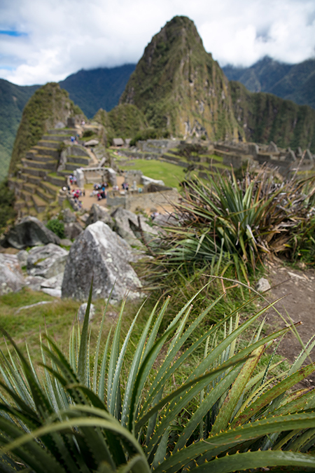 Scenic shot of Peru's Machu Picchu