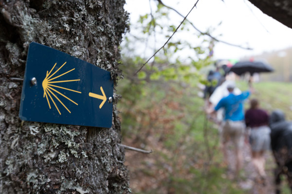 Honors students hike through the Pyrenees